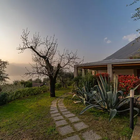 Holiday home Casa Degli Ulivi